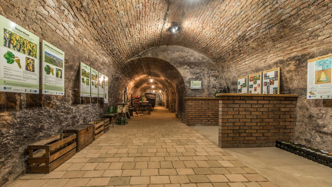 Blick in die Kellerröhre (© Archiv FVVF)